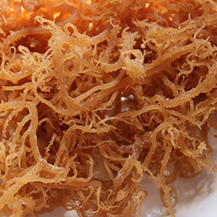 Here’s What You Need to Know About Sea Moss
